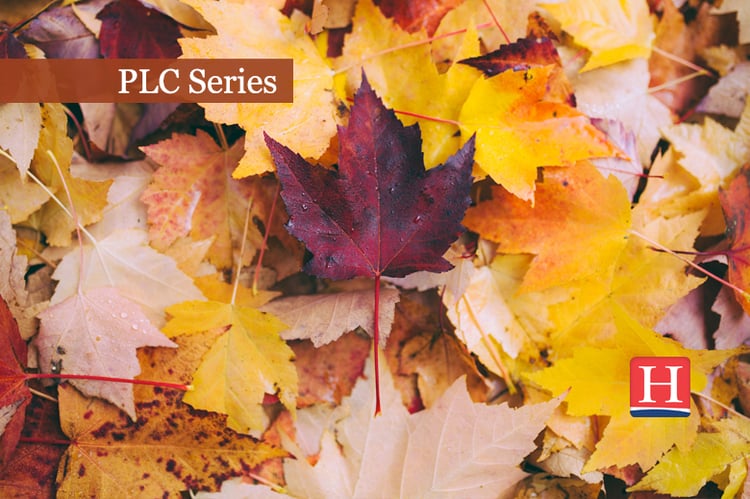 2019_PLC_Banner_780x519_Nov1119