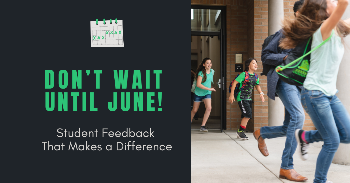 Don’t Wait Until June! Student Feedback That Makes a Difference 