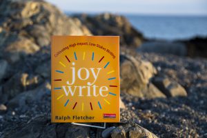 Joy Write Book Cover
