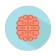 Icon_Brain.jpg