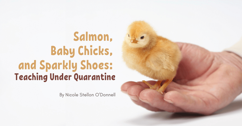 Salmon, Baby Chicks ...Teaching Under Quarantine (1)