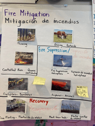 Fire Mitigation poster