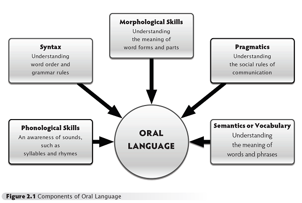 Components of Oral Language